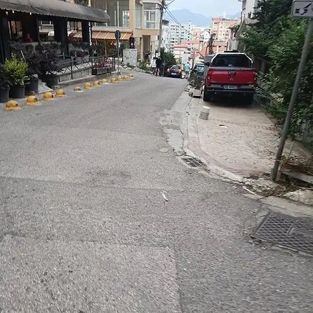 Zanzi * Tirana